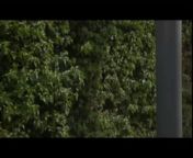 Заманил красивую студентку в парк и занялся с ней сексом